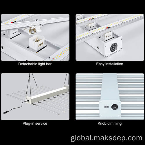 800W Led Grow Light Indoor Garden 4X4 Tent